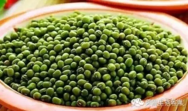 綠豆加雞蛋，竟如此神奇！ - 九毛九 - 九毛九的博客