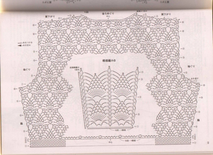 菠蘿 - 風(fēng)兒無(wú)影 - 風(fēng)兒無(wú)影的博客