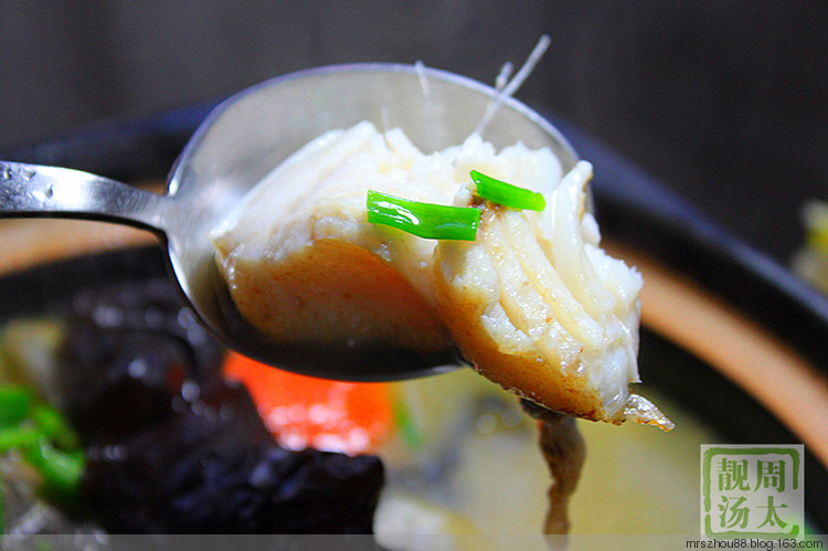 砂鍋豆腐魚頭湯 - 周太靚湯 - 周太靚湯