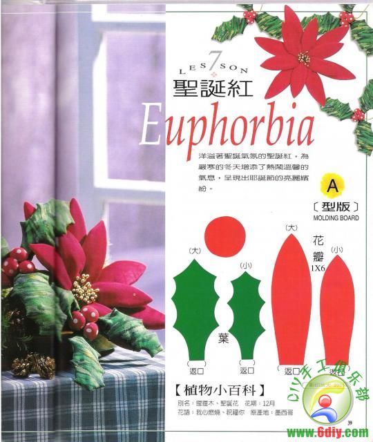 （日）浪漫布花