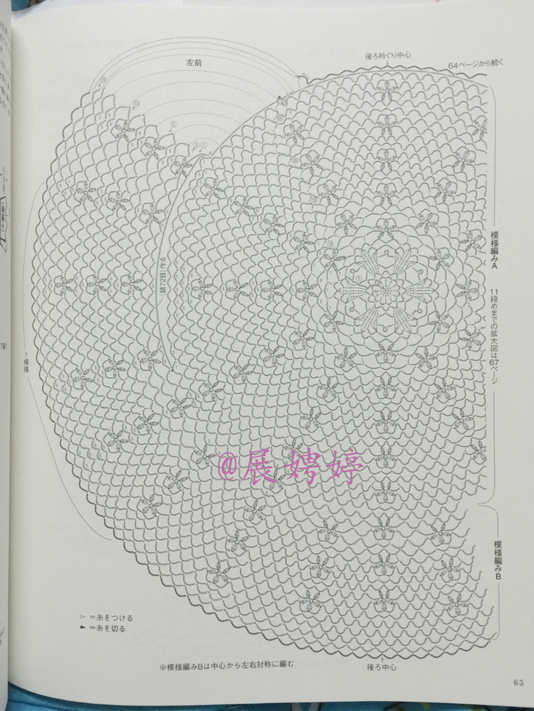 日亞新書(shū)：美針編奧林巴斯貴婦人50周年超人氣精選集 （美しいかぎ針編ベストセレクション 永遠(yuǎn)のエミーグランデ） - 展娉婷 - 展娉婷的鉤針世界