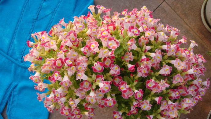 9134-18.jpg