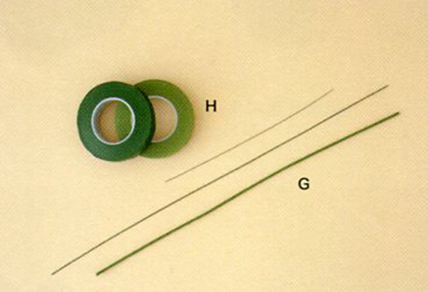 60638-2.jpg
