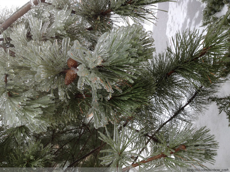 Toronto ---Ice Storm (dec 21-23) - 彩虹橋 - 彩虹橋