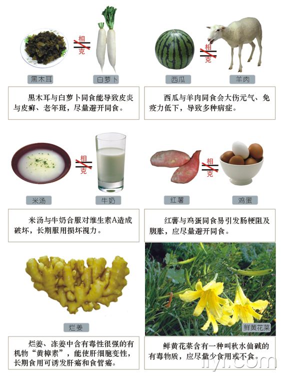 食物相生相克圖表 - 阿明的手工坊 - 千針萬線