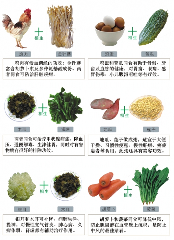 食物相生相克圖表 - 阿明的手工坊 - 千針萬線