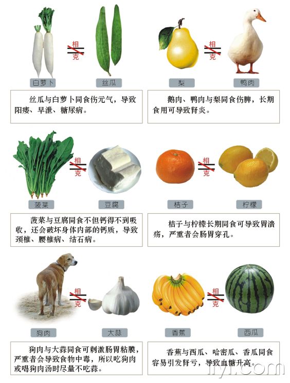 食物相生相克圖表 - 阿明的手工坊 - 千針萬線