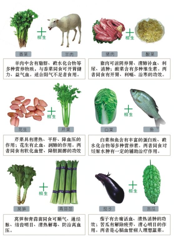 食物相生相克圖表 - 阿明的手工坊 - 千針萬線