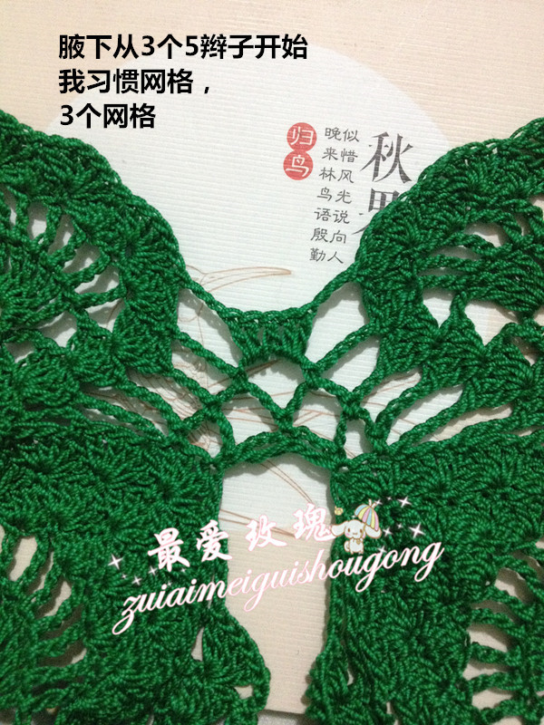 夏荷----綠色索菲亞雀羽 - 最?lèi)?ài)玫瑰 - 最?lèi)?ài)玫瑰的博客