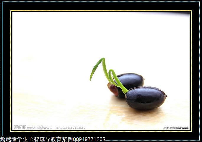 制作很有味道的水果種子小盆栽（火龍果、桂圓、碗蓮、荔枝......） - 美體、情感、博文精品 - 美體情感、心靈驛站