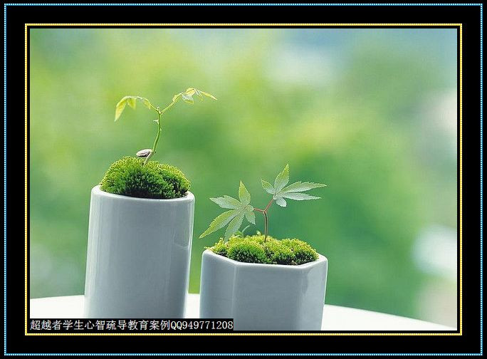制作很有味道的水果種子小盆栽（火龍果、桂圓、碗蓮、荔枝......） - 美體、情感、博文精品 - 美體情感、心靈驛站