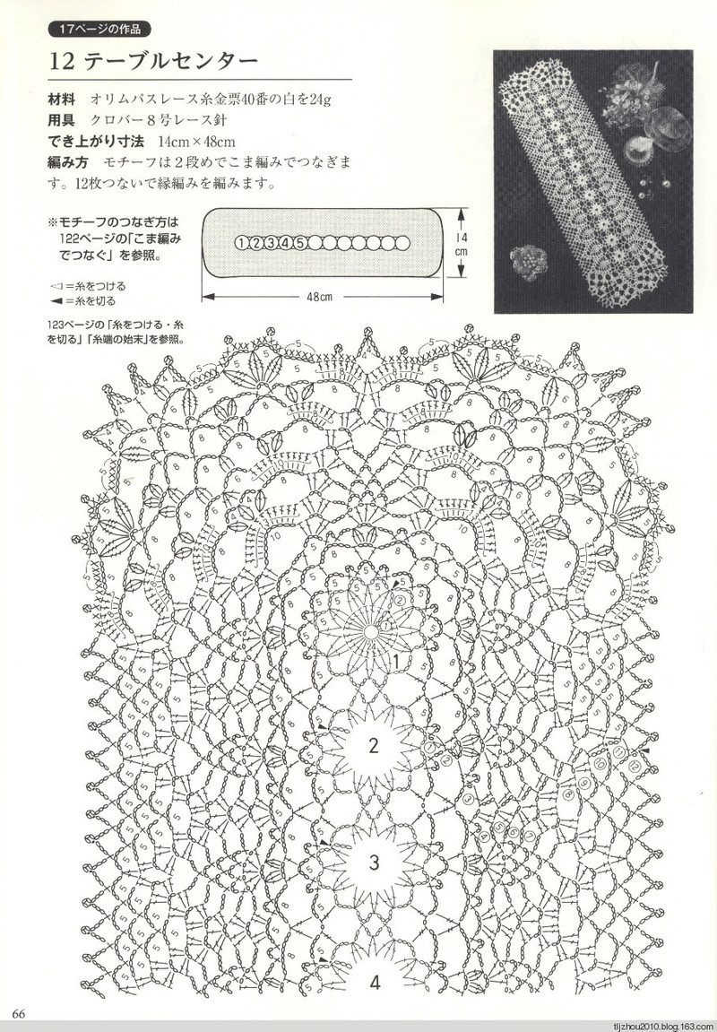 Suteki Pineapple Crochet Laces 2011 - 紫蘇 - 紫蘇的博客