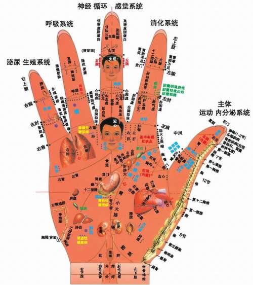 長壽從腿腳保健開始 - fpl9981 - fpl9981的博客