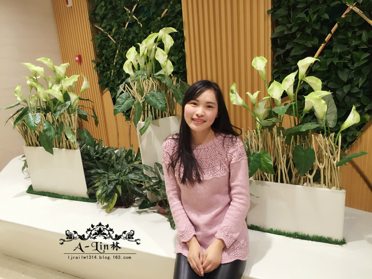 【A-Lin林】?jī)A慕--淑女志田美衣 - A-Lin林 - A-Lin的手工博客