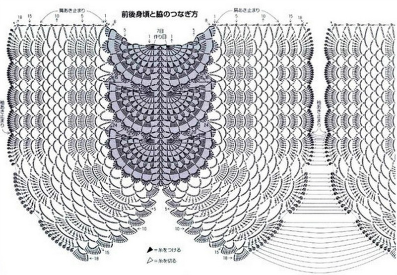 蝶衣 - NJJING - 愛自然 愛生活 愛美麗