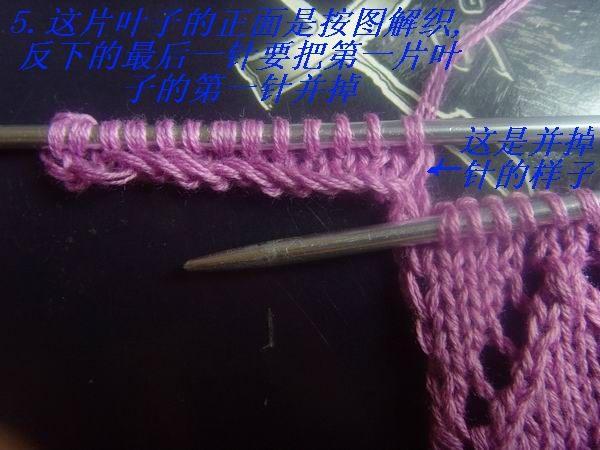 舞影零亂-新披肩完工 - 楚天 - 海闊天空