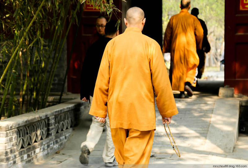北京--法源寺，那玉蘭、那樹、那僧人們 - 周太靚湯 - 周太靚湯