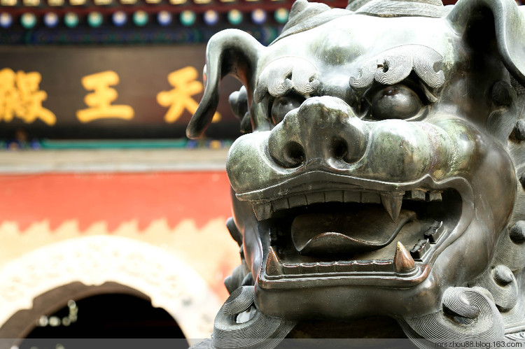 北京--法源寺，那玉蘭、那樹、那僧人們 - 周太靚湯 - 周太靚湯