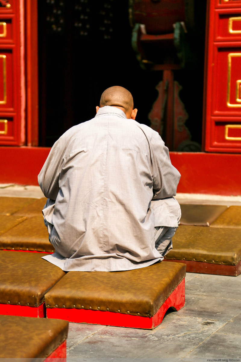 北京--法源寺，那玉蘭、那樹、那僧人們 - 周太靚湯 - 周太靚湯