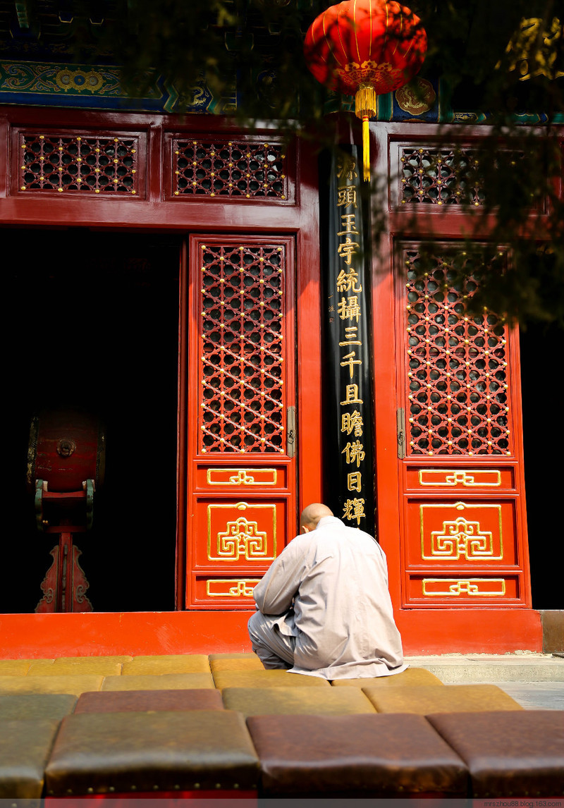 北京--法源寺，那玉蘭、那樹、那僧人們 - 周太靚湯 - 周太靚湯