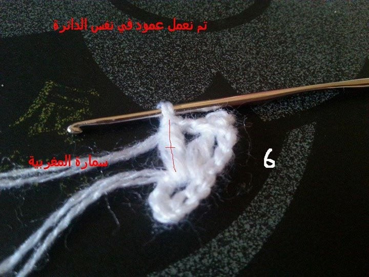 粉蝶飛飛（漂亮披肩，外國人教材，facebook好友轉(zhuǎn)） - Daphne Tsui - 因為愛所以愛