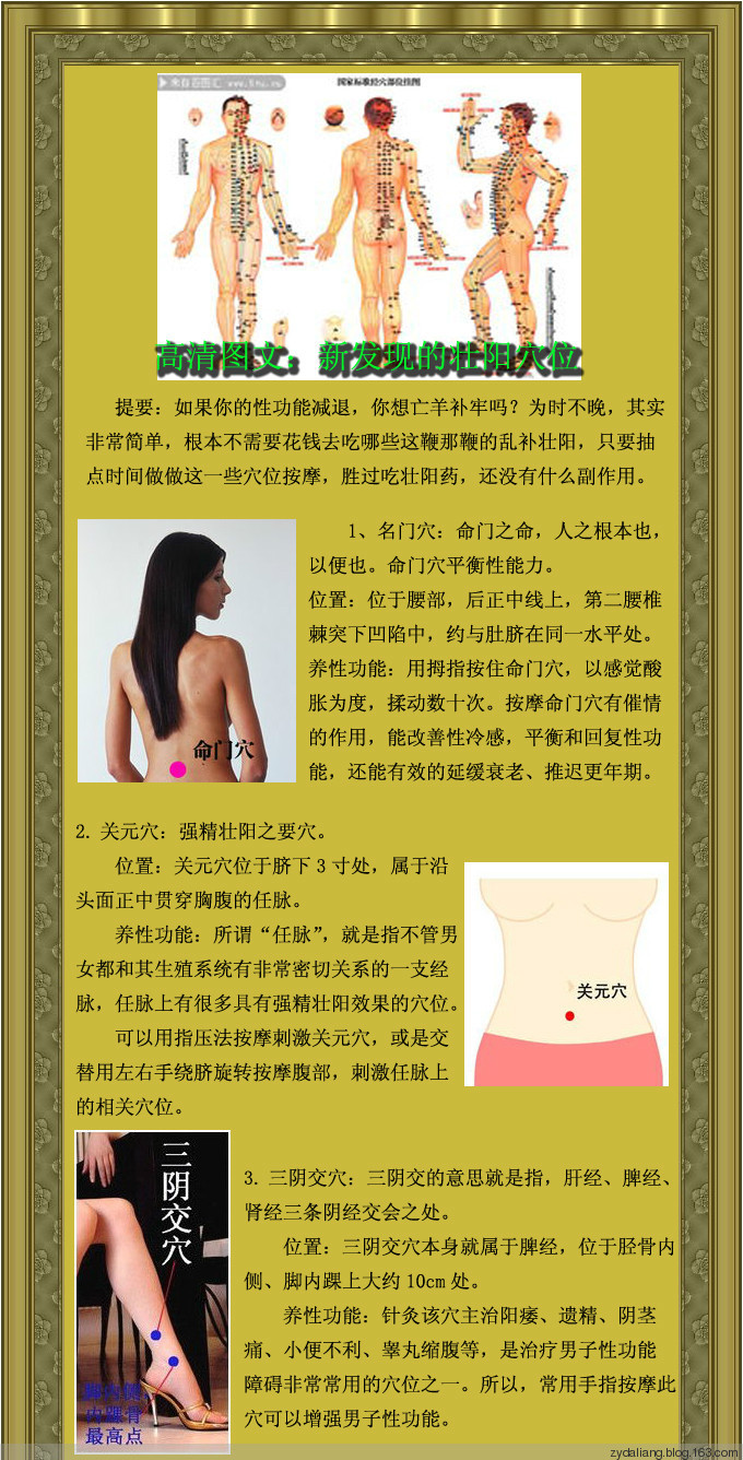 新發(fā)現的壯陽穴位 - 瀛子 - 瀛の小箋