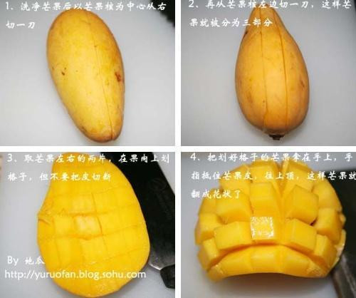 學學吧！水果可以切得這么漂亮 - xrzs000 - 心如止水