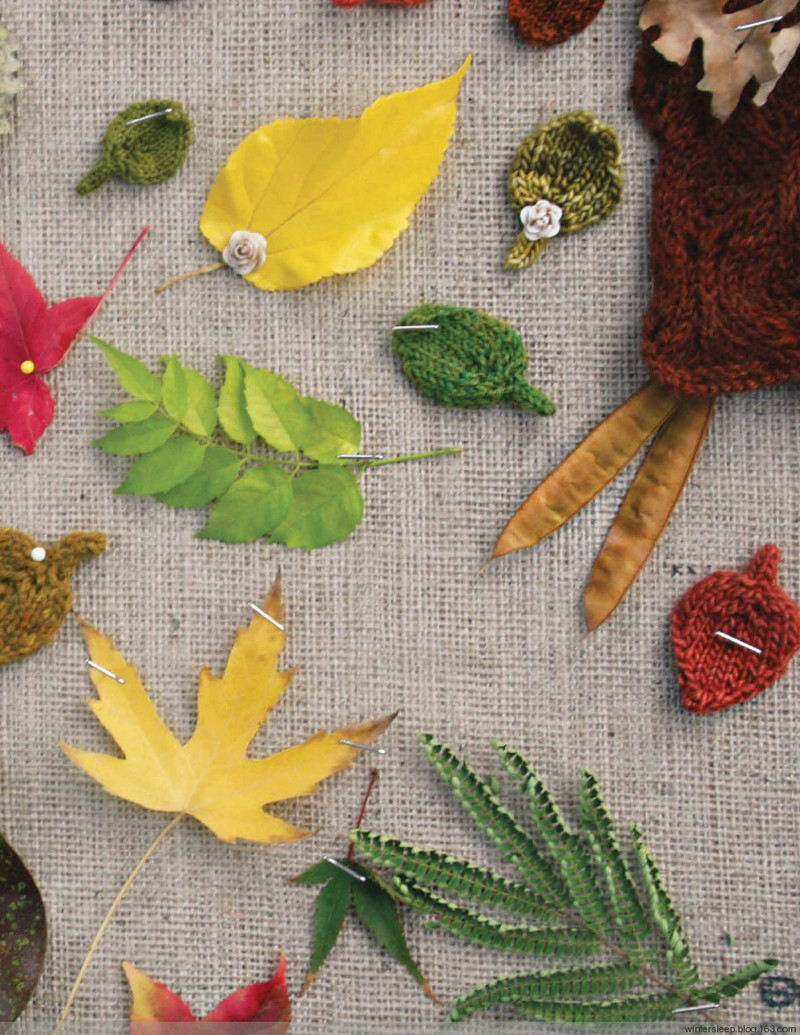Botanical Knits - 在夏郁中冬眠 - 〓 北緯①度★南洋小島 〓