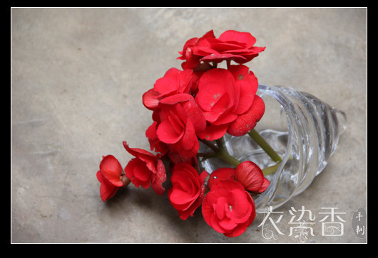 花間集：中秋/國慶 - 衣染香 - 若蘭軒