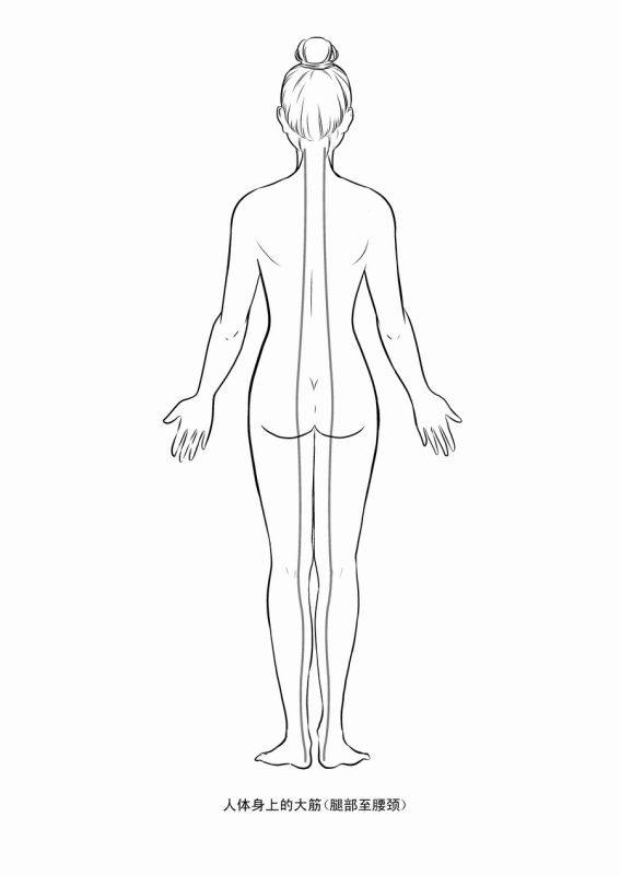 轉(zhuǎn):筋長一寸,壽延十年(自己拉筋治百?。?- 瀛子 - 瀛の小箋 轉(zhuǎn):筋長一寸,壽延十年(自己拉筋治百病) - 瀛子 - 瀛の小箋