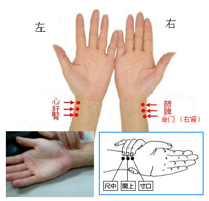 教你學(xué)號(hào)脈