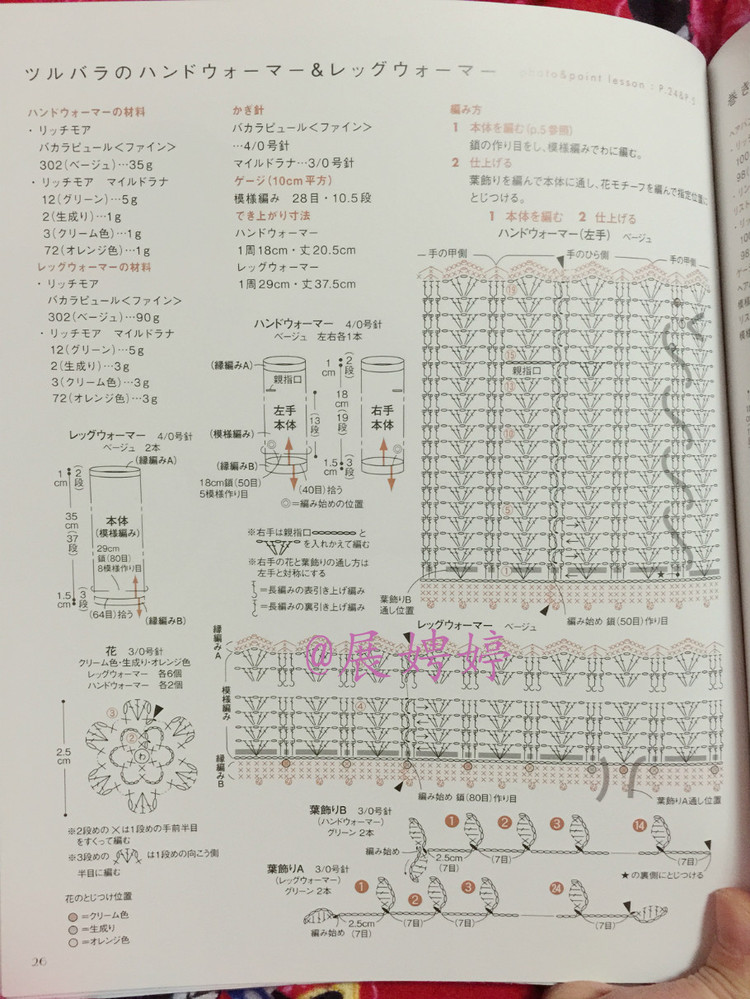 はじめてのかぎ針編み薔薇づくしのあったかこもの (アサヒオリジナル 387) - 壹一 - 壹一的博客