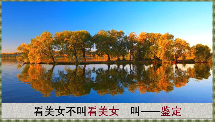 2014年11月10日 - Rose - Rose Yang的博客