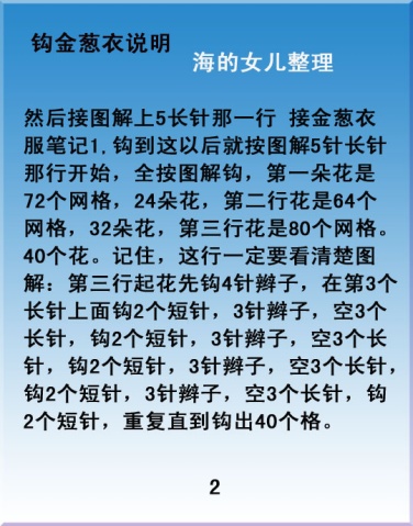 給自己鉤的金蔥衣 - 蘋果園 - 蘋果園的博客