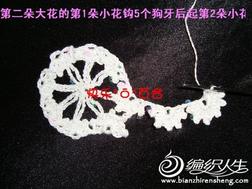 快樂(lè)百合老師－－梅花小坎整花(20朵)分袖教程 - 清水秋千 - 清水秋千的小窩