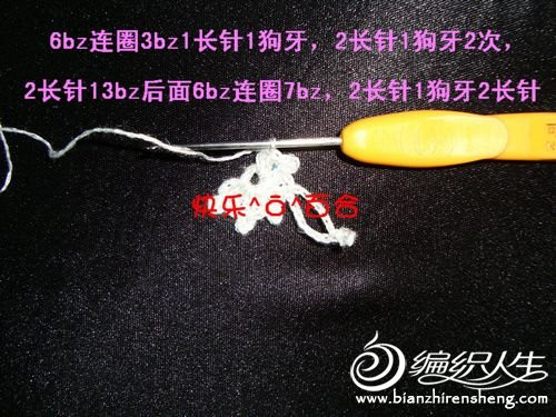 快樂(lè)百合老師－－梅花小坎整花(20朵)分袖教程 - 清水秋千 - 清水秋千的小窩