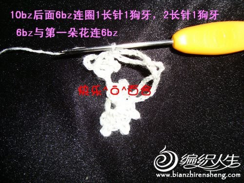 快樂(lè)百合老師－－梅花小坎整花(20朵)分袖教程 - 清水秋千 - 清水秋千的小窩
