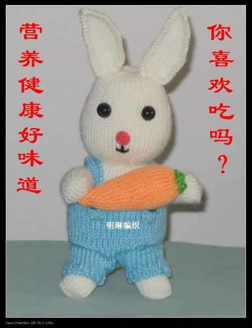 兔年織兔（二）-健康蔬菜 - 明琳 - 明琳的博客