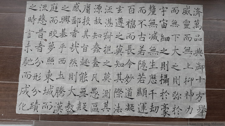 臨習(xí)：趙世駿臨褚遂良雁塔圣教序 - 此情此景 - 此情此景