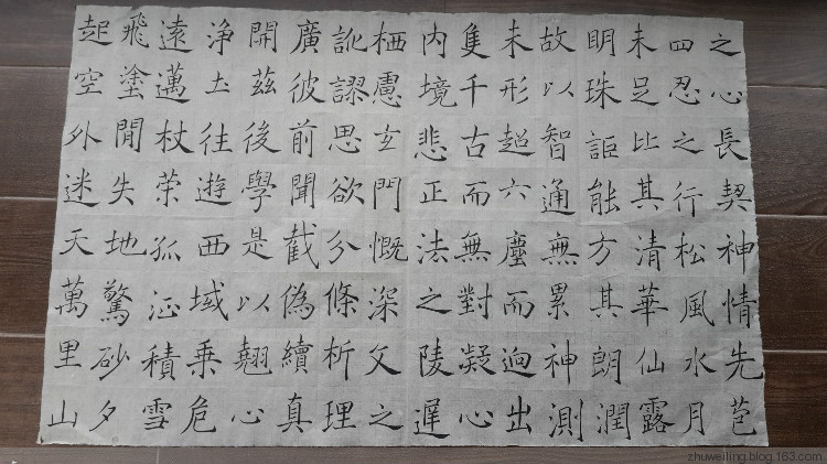 臨習(xí)：趙世駿臨褚遂良雁塔圣教序 - 此情此景 - 此情此景