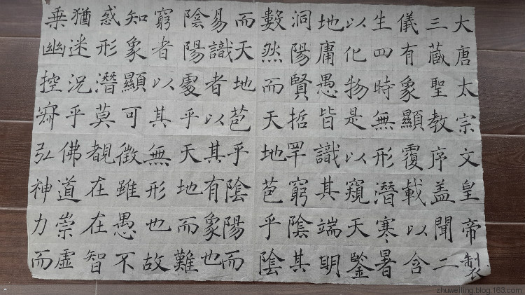 臨習(xí)：趙世駿臨褚遂良雁塔圣教序 - 此情此景 - 此情此景