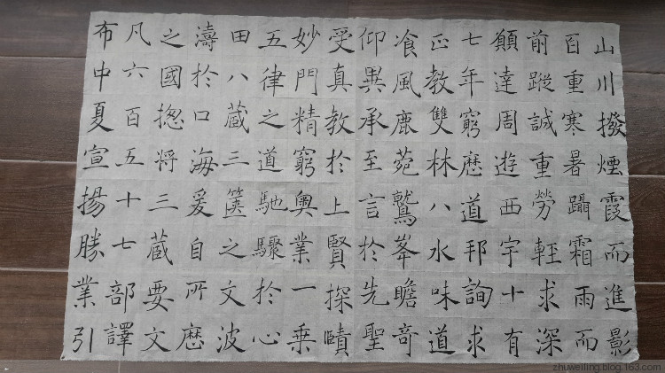 臨習(xí)：趙世駿臨褚遂良雁塔圣教序 - 此情此景 - 此情此景