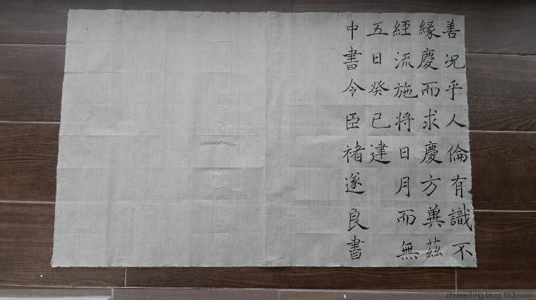 臨習(xí)：趙世駿臨褚遂良雁塔圣教序 - 此情此景 - 此情此景