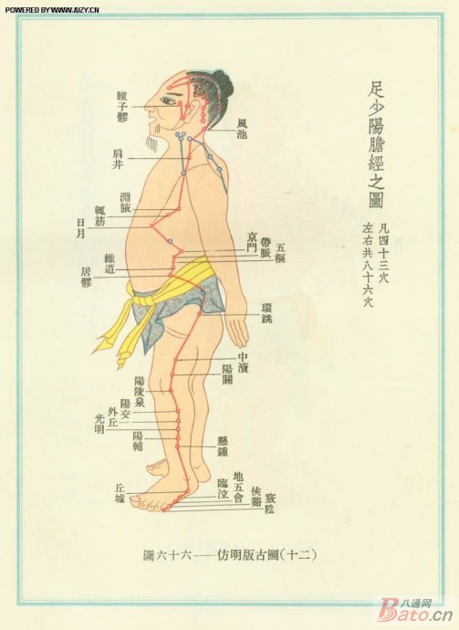 敲膽經(jīng)---敲掉垃圾、敲除白發(fā)、敲掉肥胖 - 鱈鯡鮩鮚 - 鱈鯡鮩鮚的博客 敲膽經(jīng)---敲掉垃圾、敲除白發(fā)、敲掉肥胖 - 鱈鯡鮩鮚 - 鱈鯡鮩鮚的博客