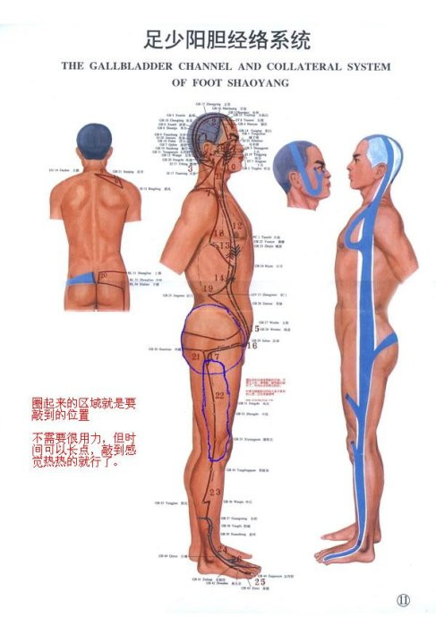 敲膽經(jīng)---敲掉垃圾、敲除白發(fā)、敲掉肥胖 - 鱈鯡鮩鮚 - 鱈鯡鮩鮚的博客 敲膽經(jīng)---敲掉垃圾、敲除白發(fā)、敲掉肥胖 - 鱈鯡鮩鮚 - 鱈鯡鮩鮚的博客