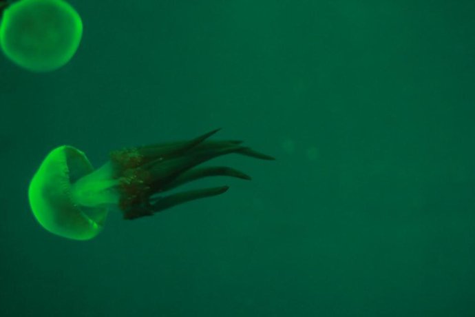 581-10.jpg