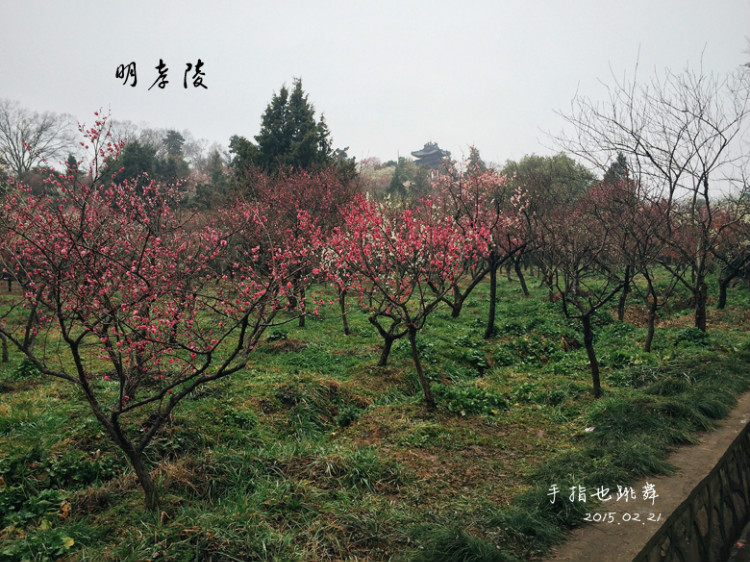 【走走聊聊拍拍】金陵三日（三）中山陵明孝陵 - 手指也跳舞 - 跳舞姐姐的手工莊園