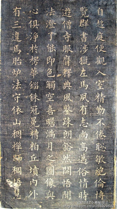 45950-4.jpg