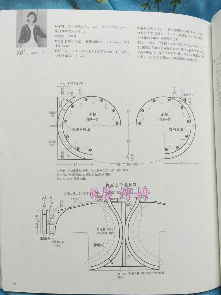 日亞新書：美針編奧林巴斯貴婦人50周年超人氣精選集 （美しいかぎ針編ベストセレクション 永遠(yuǎn)のエミーグランデ） - 展娉婷 - 展娉婷的鉤針世界