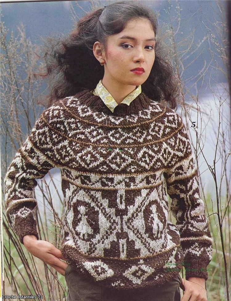 Alpaca Sweater冬季的提花毛衣 - 非編魚 - 非編魚的博客